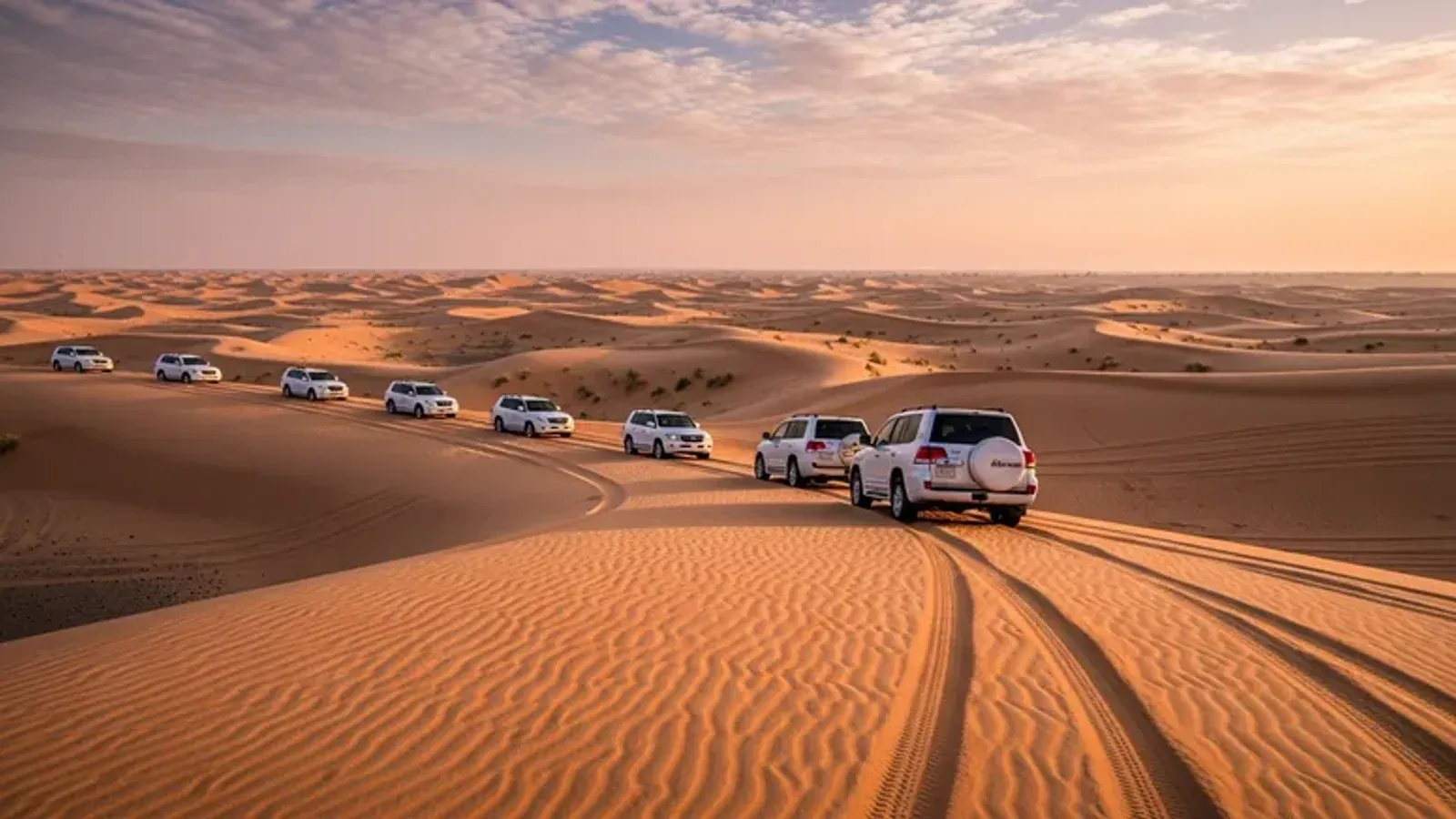 Line of white Land Cruisers crossing rippled orange dunes in soft morning light